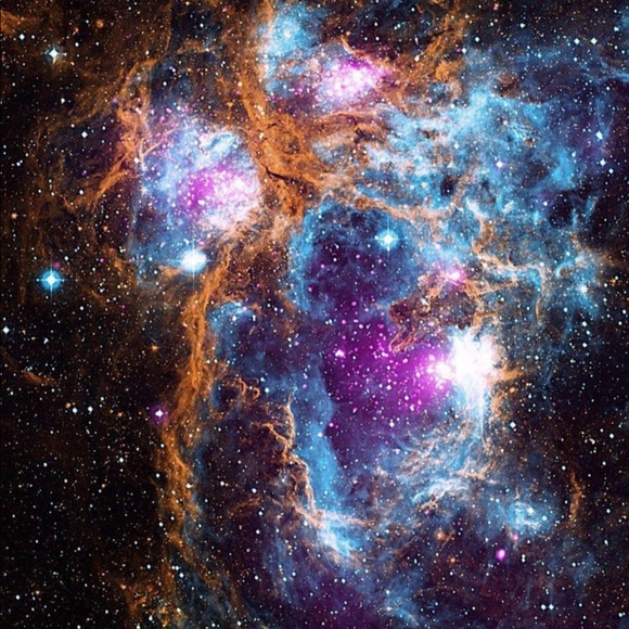 Meet your Posher, Cecily - Picture 1 of 1